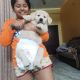 Golden Retriever Puppies for sale in Alwal, Secunderabad, Telangana, India. price: 28000 INR