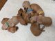 Golden Retriever Puppies for sale in Faribault, MN 55021, USA. price: NA