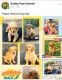 Golden Retriever Puppies for sale in Tylertown, MS 39667, USA. price: NA