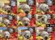Golden Retriever Puppies for sale in Tooele, UT 84074, USA. price: $1,500