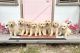 Golden Retriever Puppies for sale in Dothan, AL, USA. price: $1,200
