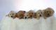 Golden Retriever Puppies for sale in Memphis, MO 63555, USA. price: $500