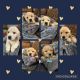 Golden Retriever Puppies for sale in Brandon, Mississippi. price: $100,000