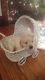Golden Retriever Puppies for sale in Grant, MI 49327, USA. price: $900