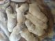 Golden Retriever Puppies for sale in Sterling, CO 80751, USA. price: NA