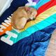 Golden Retriever Puppies for sale in Indianapolis, IN, USA. price: $500