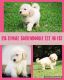 Goldendoodle Puppies for sale in Huntsville, AL, USA. price: $1,000