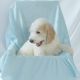Goldendoodle Puppies for sale in 3718 Kellner Rd, Dickinson, TX 77539, USA. price: $1,200