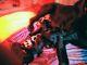 Great Dane Puppies for sale in Akron, OH, USA. price: NA