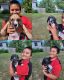 Great Dane Puppies for sale in Marquette, NE 68854, USA. price: NA