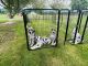 Great Dane Puppies for sale in Germansville, PA 18053, USA. price: $2,000