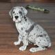 Great Dane Puppies for sale in 7410 Huebner Rd, San Antonio, TX 78240, USA. price: NA