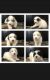 Great Pyrenees Puppies for sale in St Cloud, MN, USA. price: $500
