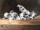 Great Pyrenees Puppies for sale in Wingo, KY 42088, USA. price: NA