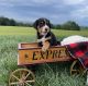 Greater Swiss Mountain Dog Puppies for sale in Lancaster, PA, USA. price: NA