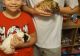Guinea Pig Rodents for sale in Orlando, FL, USA. price: $100