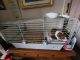 Guinea Pig Rodents for sale in San Jose, CA, USA. price: $150