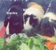 Guinea Pig Rodents for sale in Melrose Park, IL 60160, USA. price: $200