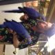 Hahn's macaw Birds for sale in Cincinnati, OH, USA. price: NA