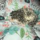 Hedgehog Animals for sale in Manchester, MO 63021, USA. price: $180