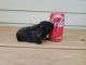 Holland Lop Rabbits for sale in Lakeville, MN, USA. price: NA