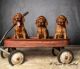 Irish Setter Puppies for sale in Attica, MI 48412, USA. price: $1,000