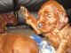 Irish Setter Puppies for sale in Carlsbad, CA, USA. price: NA