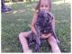 Irish Wolfhound Puppies for sale in CA-111, Rancho Mirage, CA 92270, USA. price: NA