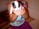 Jack Russell Terrier Puppies for sale in Memphis, TN, USA. price: NA