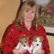 Jack Russell Terrier Puppies for sale in Manorville, NY 11949, USA. price: NA