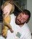 Kinkajou Animals for sale in El Cajon, CA, USA. price: NA