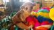 Kinkajou Animals for sale in 24420 S Dixie Hwy, Princeton, FL 33032, USA. price: NA