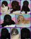 Labradoodle Puppies for sale in La Habra, CA 90631, USA. price: $1,500