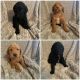 Labradoodle Puppies for sale in Texarkana, TX, USA. price: $100,000