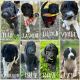 Labradoodle Puppies for sale in Jacksonville, NC, USA. price: NA