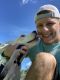 Labrador Retriever Puppies for sale in FL-93, Ellenton, FL, USA. price: NA