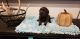 Labrador Retriever Puppies for sale in 1279 Loving Rd, Lufkin, TX 75901, USA. price: NA