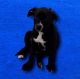 Labrador Retriever Puppies for sale in 10100 Cambridge Ave, Kansas City, MO 64134, USA. price: NA