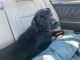 Labrador Retriever Puppies for sale in Tallahassee, FL, USA. price: $400