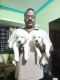 Labrador Retriever Puppies for sale in Mullassery, Kerala, India. price: 20000 INR