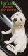 Labrador Retriever Puppies for sale in Thottada, Kerala 670007, India. price: 15000 INR