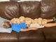 Labrador Retriever Puppies for sale in Medford, OR, USA. price: NA