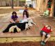 Labrador Retriever Puppies for sale in Freeport, FL, USA. price: $800