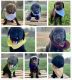 Labrador Retriever Puppies for sale in Queen Creek, AZ 85140, USA. price: NA