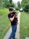 Labrador Retriever Puppies for sale in Wise, VA 24293, USA. price: NA