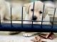 Labrador Retriever Puppies for sale in Louisa, VA 23093, USA. price: $1,100