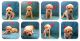 Labrador Retriever Puppies for sale in Marseilles, IL 61341, USA. price: NA
