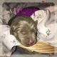 Labrador Retriever Puppies for sale in Woodland, WA 98674, USA. price: $1,200