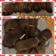 Labrador Retriever Puppies for sale in Livonia, LA 70755, USA. price: NA