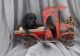 Labrador Retriever Puppies for sale in 2559 Jordanville Rd, Jordanville, NY 13361, USA. price: NA